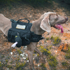 Supporto per sacchetto per cacca per cani, sacchetto per rifiuti, supporto per guinzaglio per esterni