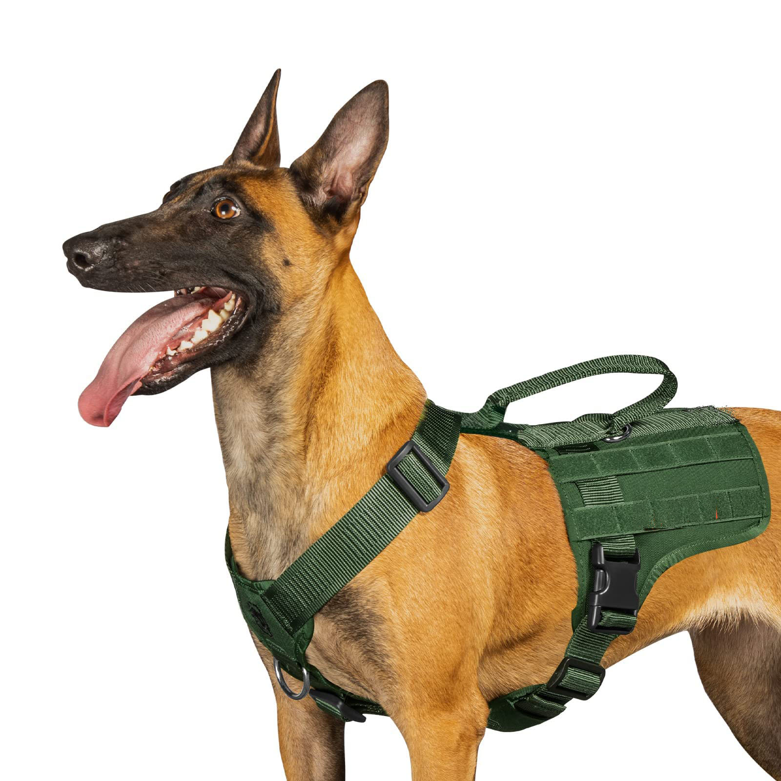 Apakah yang termasuk dalam pemegang beg najis anjing yang dinilai Bumi?