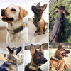Kolar anjing taktikal ketenteraan yang diperibadikan 