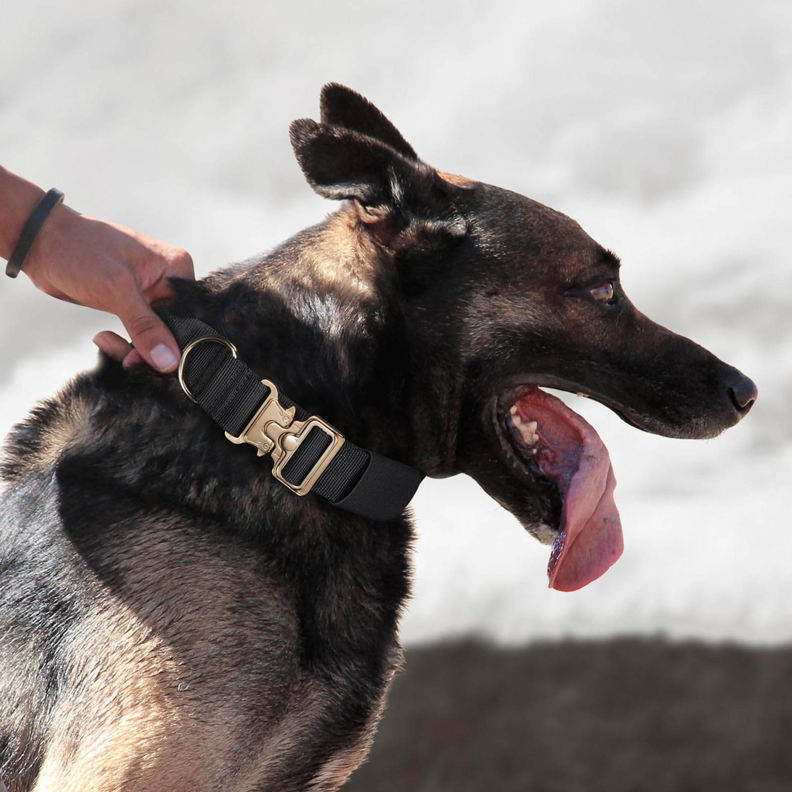 K9 taktik te&ccedil;hizatı kimdir?