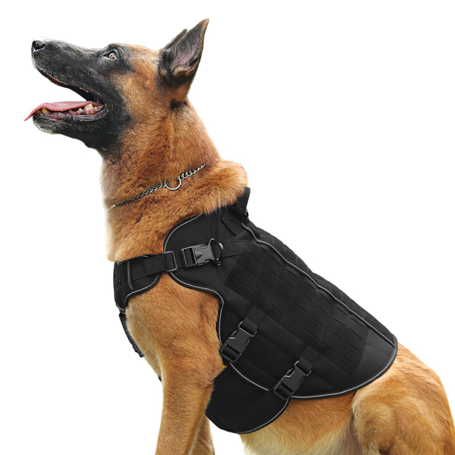 Gilet riflettente da addestramento per escursioni a piedi per animali domestici